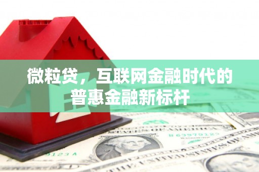 云龙微粒贷，互联网金融时代的普惠金融新标杆
