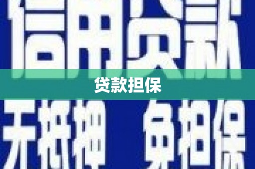 云龙贷款担保