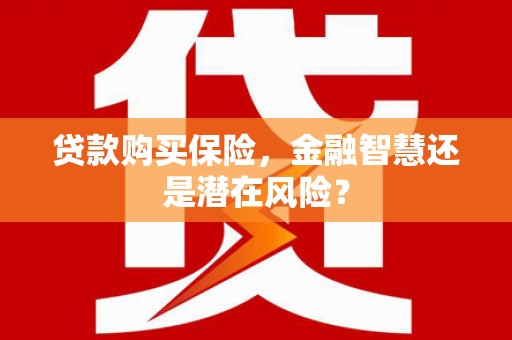 云龙贷款购买保险，金融智慧还是潜在风险？