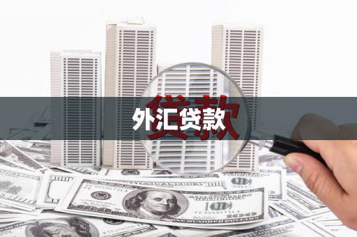 云龙外汇贷款
