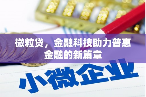 云龙微粒贷，金融科技助力普惠金融的新篇章