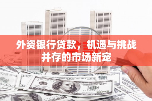 云龙外资银行贷款，机遇与挑战并存的市场新宠
