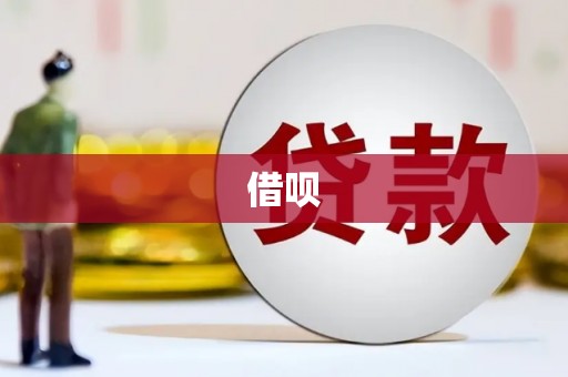 云龙借呗