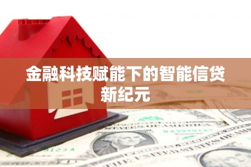 云龙金融科技赋能下的智能信贷新纪元