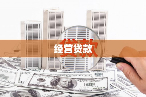 云龙经营贷款