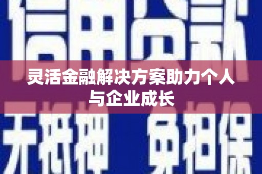 云龙灵活金融解决方案助力个人与企业成长