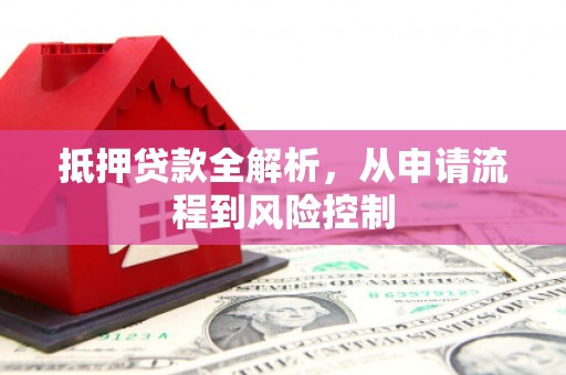 云龙抵押贷款全解析，从申请流程到风险控制