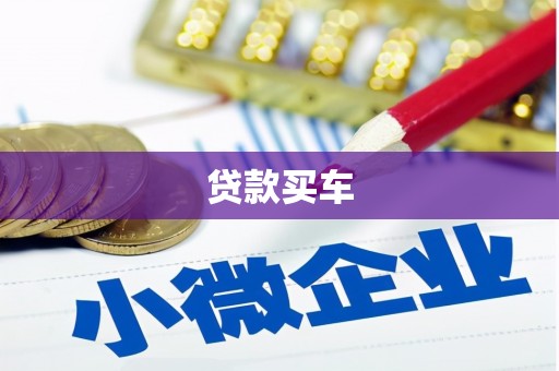 云龙贷款买车