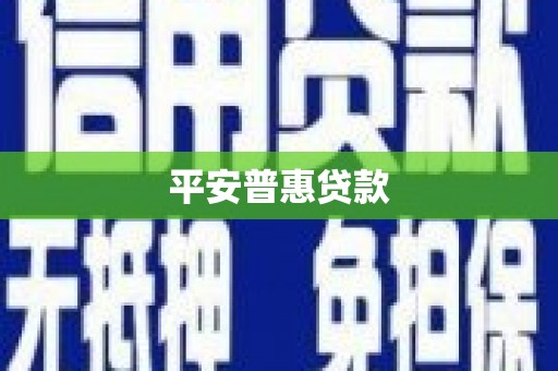 云龙平安普惠贷款