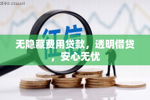 云龙无隐藏费用贷款，透明借贷，安心无忧