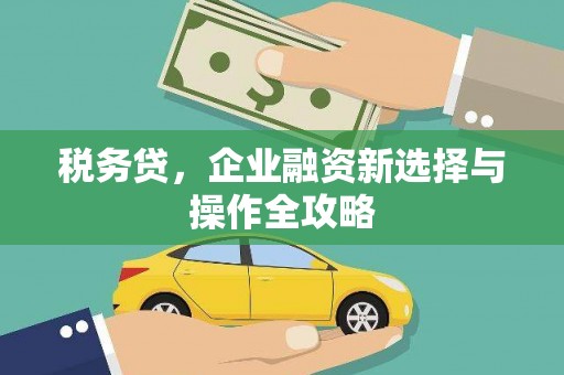云龙税务贷，企业融资新选择与操作全攻略
