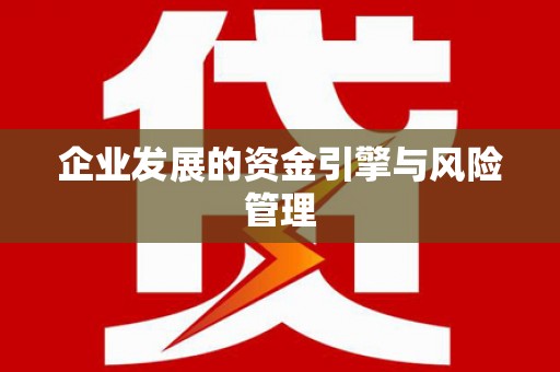 云龙企业发展的资金引擎与风险管理
