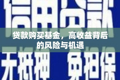 云龙贷款购买基金，高收益背后的风险与机遇
