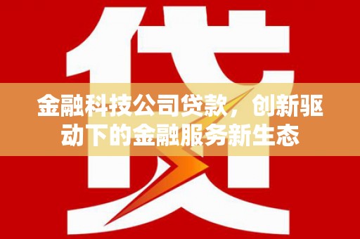 云龙金融科技公司贷款，创新驱动下的金融服务新生态