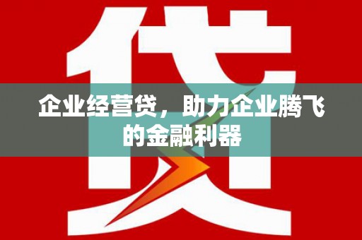 云龙企业经营贷，助力企业腾飞的金融利器