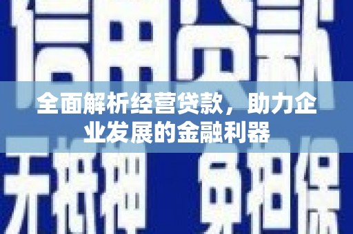 云龙全面解析经营贷款，助力企业发展的金融利器