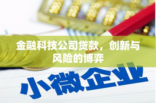 云龙金融科技公司贷款，创新与风险的博弈