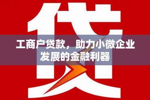 云龙工商户贷款，助力小微企业发展的金融利器