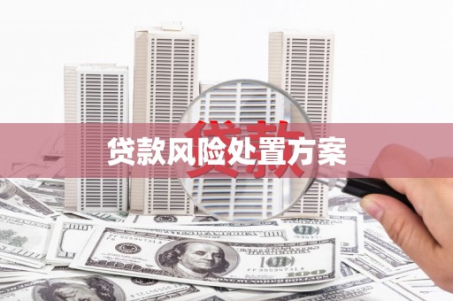 云龙贷款风险处置方案