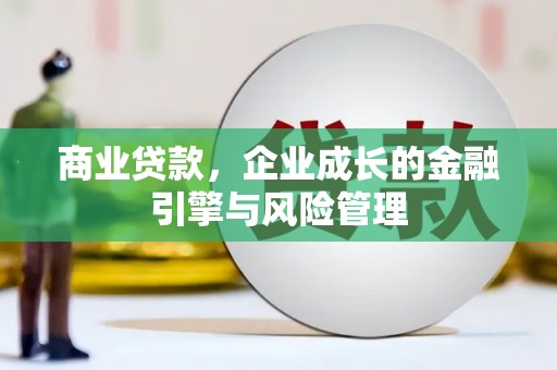 云龙商业贷款，企业成长的金融引擎与风险管理
