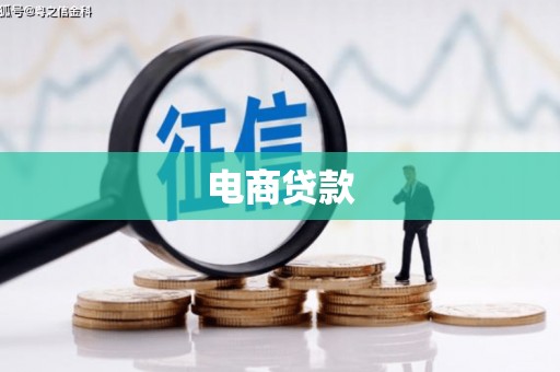云龙电商贷款