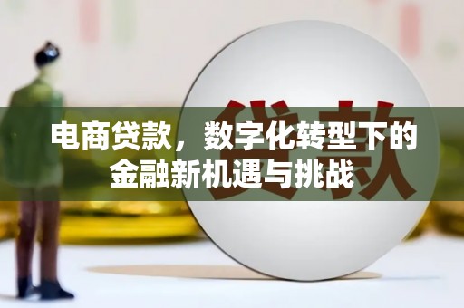 云龙电商贷款，数字化转型下的金融新机遇与挑战