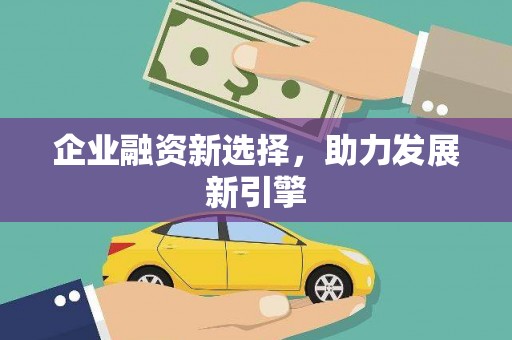 云龙企业融资新选择，助力发展新引擎