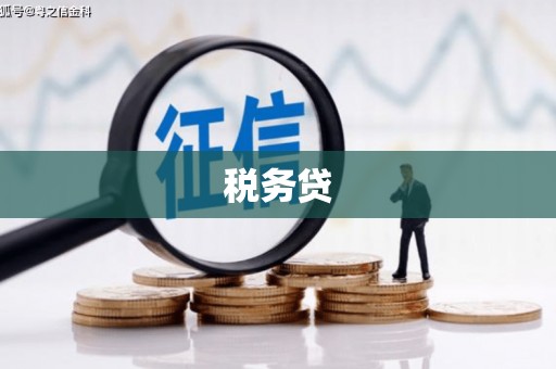 云龙税务贷
