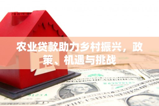 云龙农业贷款助力乡村振兴，政策、机遇与挑战
