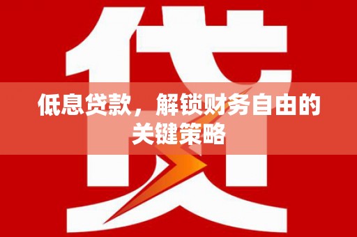 云龙低息贷款，解锁财务自由的关键策略