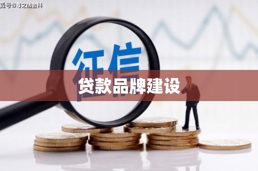 云龙贷款品牌建设