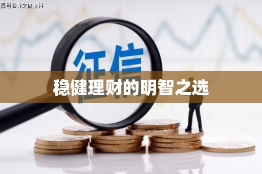 云龙稳健理财的明智之选