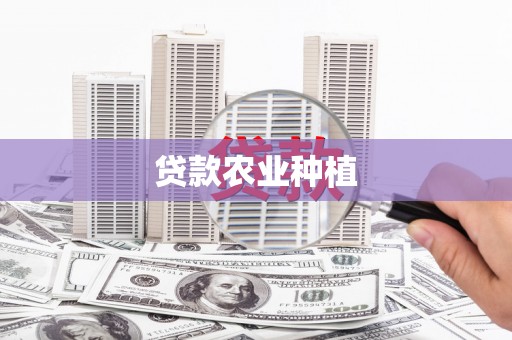 云龙贷款农业种植