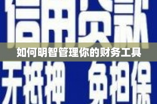 云龙如何明智管理你的财务工具