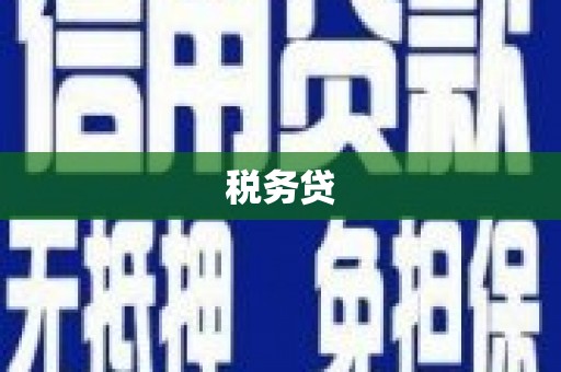 云龙税务贷
