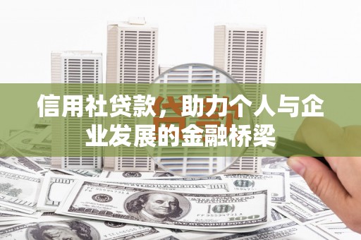 云龙信用社贷款，助力个人与企业发展的金融桥梁