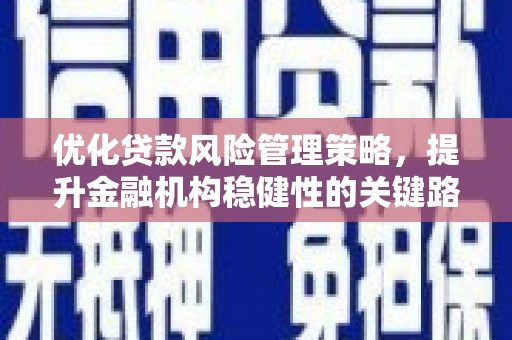 云龙优化贷款风险管理策略，提升金融机构稳健性的关键路径