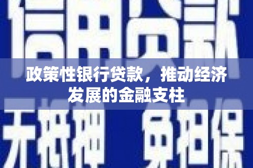 云龙政策性银行贷款，推动经济发展的金融支柱