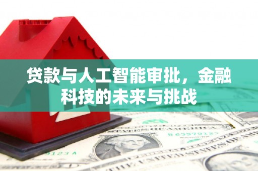云龙贷款与人工智能审批，金融科技的未来与挑战
