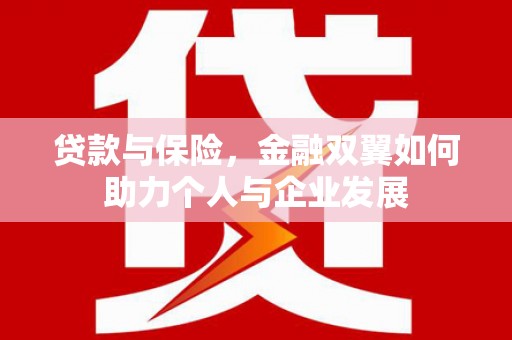 云龙贷款与保险，金融双翼如何助力个人与企业发展