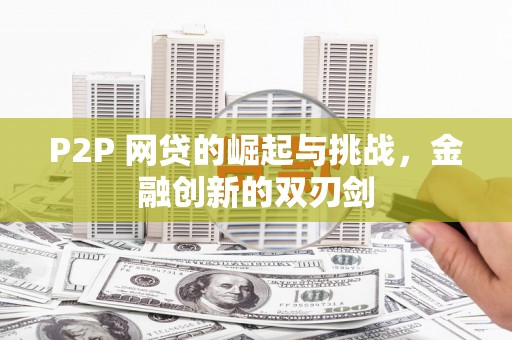 云龙P2P 网贷的崛起与挑战，金融创新的双刃剑