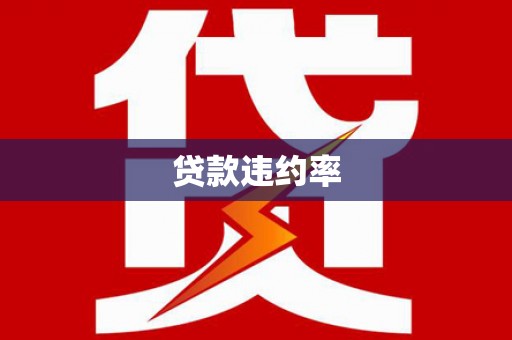 云龙贷款违约率