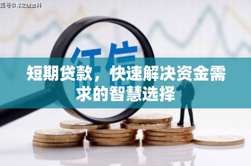 云龙短期贷款，快速解决资金需求的智慧选择