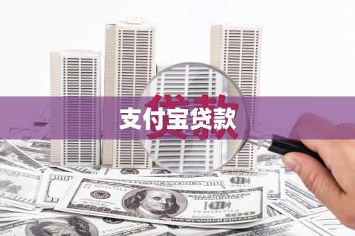 云龙支付宝贷款