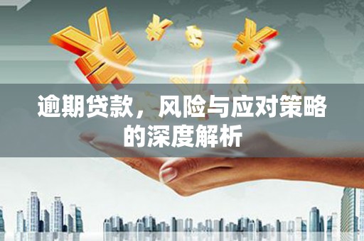 云龙逾期贷款，风险与应对策略的深度解析