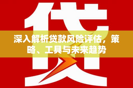 云龙深入解析贷款风险评估，策略、工具与未来趋势