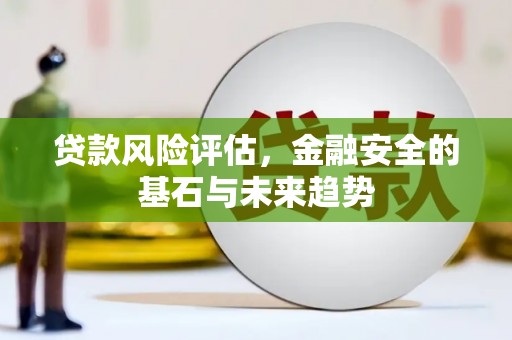 云龙贷款风险评估，金融安全的基石与未来趋势
