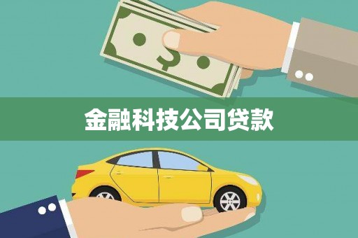 云龙金融科技公司贷款