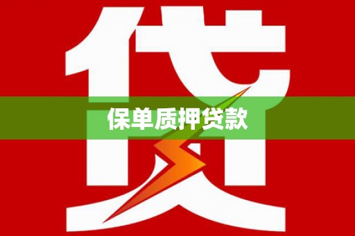 云龙保单质押贷款
