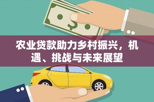 云龙农业贷款助力乡村振兴，机遇、挑战与未来展望